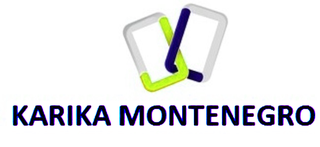 Logo novi